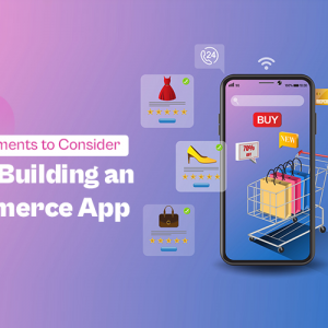 10 Key Elements to Consider While Building an eCommerce App