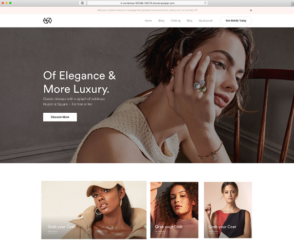 free ecommerce wordpress theme 