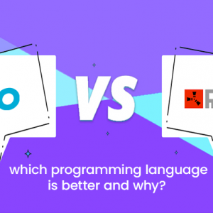 Go Vs Rust: Which Programming Language is Better & Why?