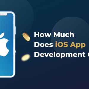 How Much Does iOS App Development Cost?