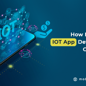 How Much Does IoT App Development Cost in 2021?