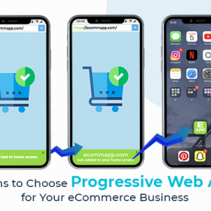 Reasons to Choose Progressive Web App for Your eCommerce Business